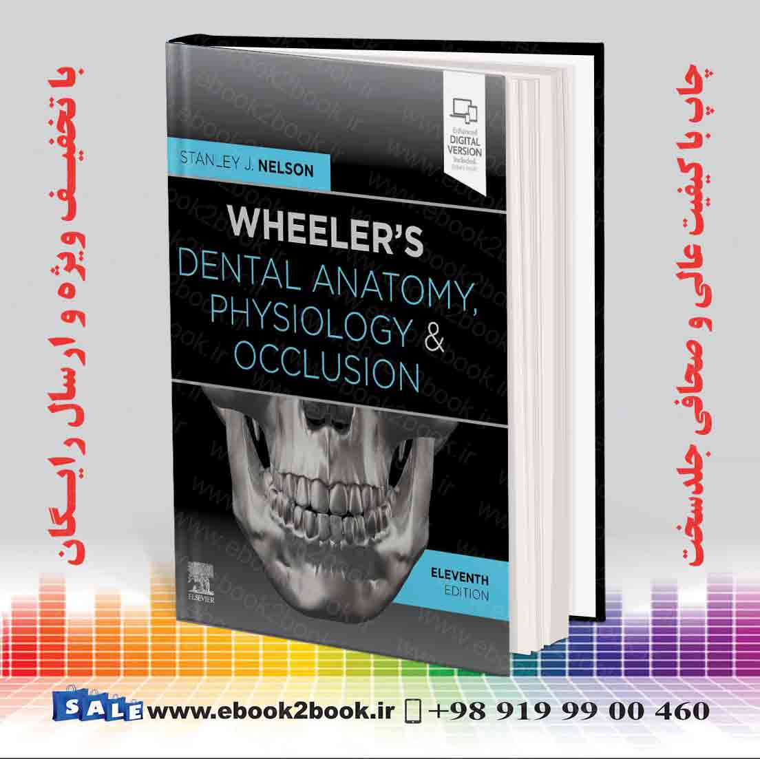 Physiology　Edition　خرید　Dental　کتاب　کتاب　بوک　and　Anatomy,　11th　Wheeler's　ایبوک　تو　Occlusion　فروشگاه
