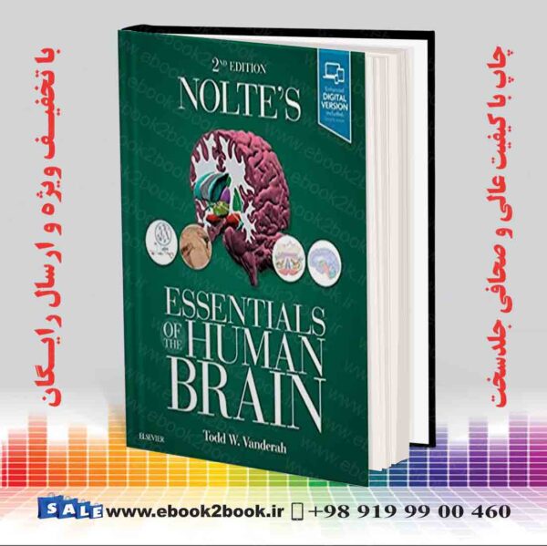 خرید کتاب Nolte'S Essentials Of The Human Brain 2Nd Edition
