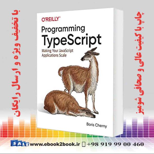 Programming Typescript