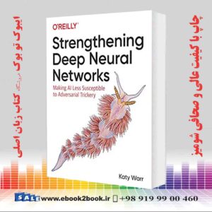 کتاب Strengthening Deep Neural Networks