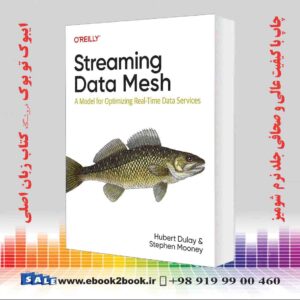 خرید کتاب Streaming Data Mesh: A Model for Optimizing Real-Time Data Services