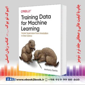کتاب Training Data for Machine Learning