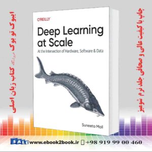 کتاب Deep Learning at Scale: At the Intersection of Hardware, Software